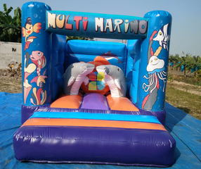Hot Sale Small Commercial Inflatable Bouncer for Kids