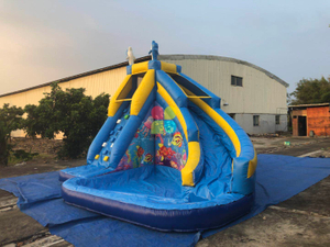 Commercial Inflatable Water Slide with Pool 