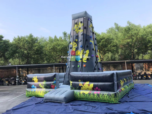 Stock for Sale RB13008（6x6x6.5m）Inflatable Hot Sale Scaling New design Climbing Mountains