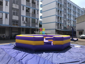 Mechanical Bull Inflatable Bed And Bull Matress