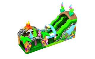 Rainbow New Design of Insect Inflatable combo